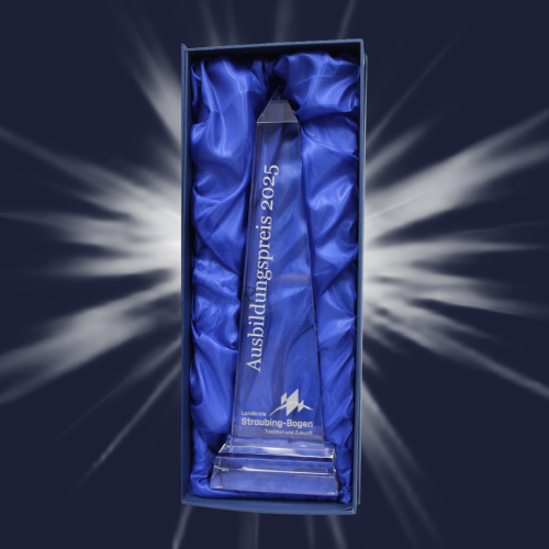 Ausbildungspreis 2025